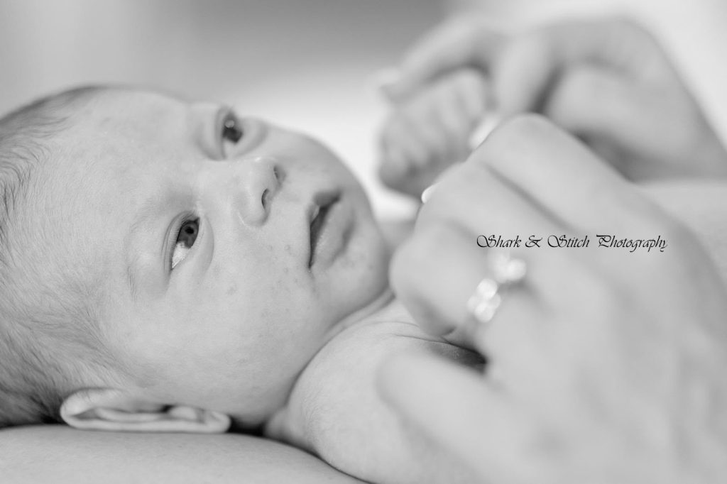שמות לבנים 2026 קרדיט Sharkandstitch_Photography